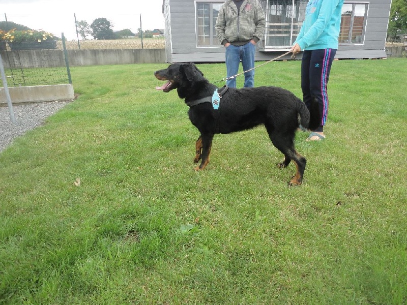 Publication : L'ami De La Campagne Auteur : l'Ami de la Campagne