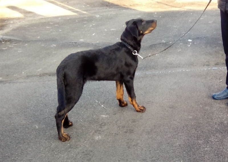 Publication : L'ami De La Campagne Auteur : 11 mois