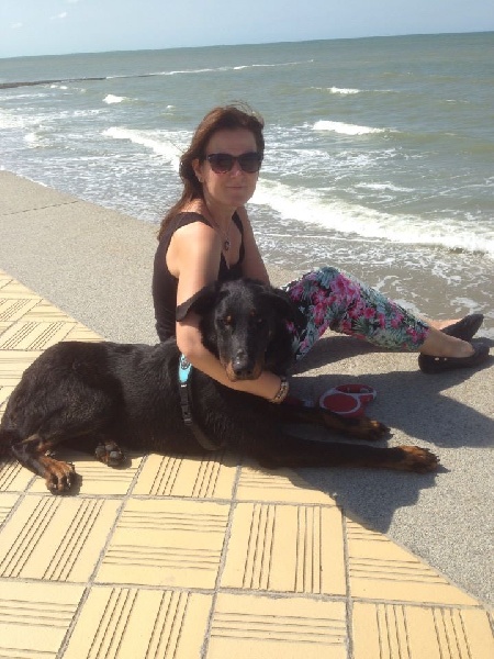 Publication : L'ami De La Campagne Auteur : l'Ami de la Campagne