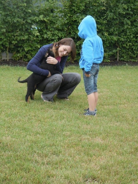 Publication : L'ami De La Campagne Auteur : l'Ami de la Campagne