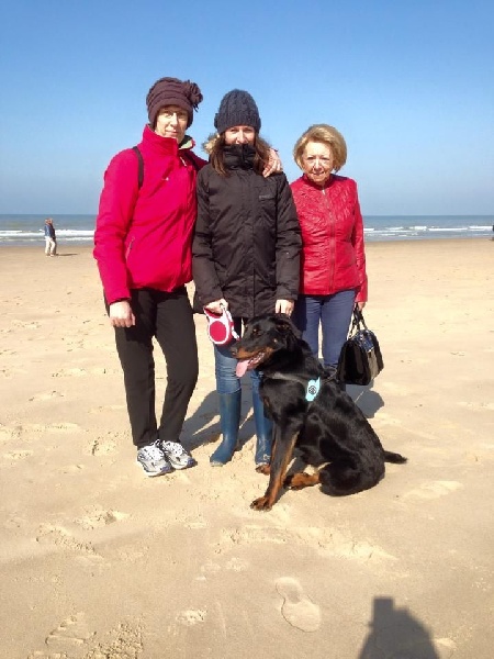 Publication : L'ami De La Campagne Auteur : l'Ami de la Campagne