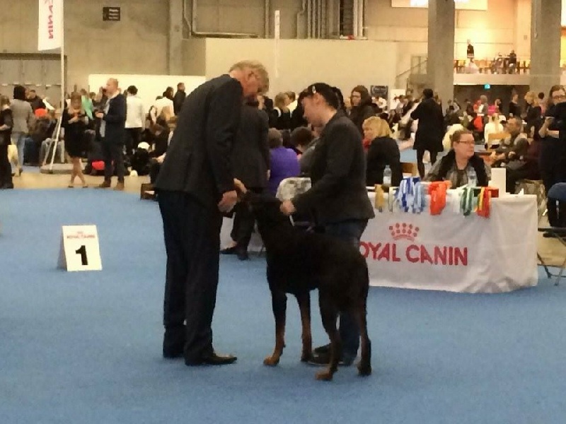 Publication : L'ami De La Campagne Auteur : ami de la campagne