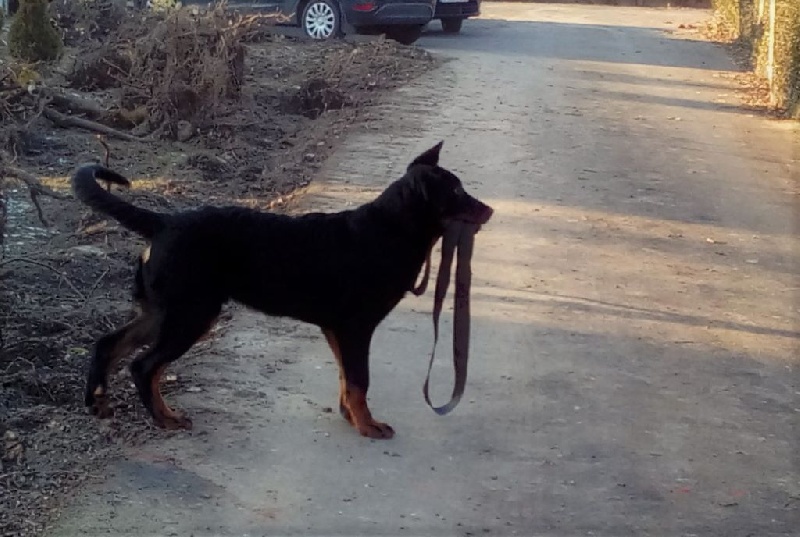 Publication : L'ami De La Campagne Auteur : ami de la campagne