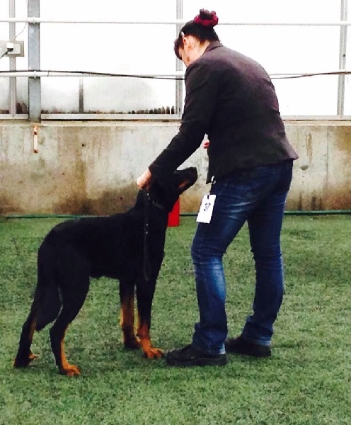 Publication : L'ami De La Campagne Auteur : ami de la campagne