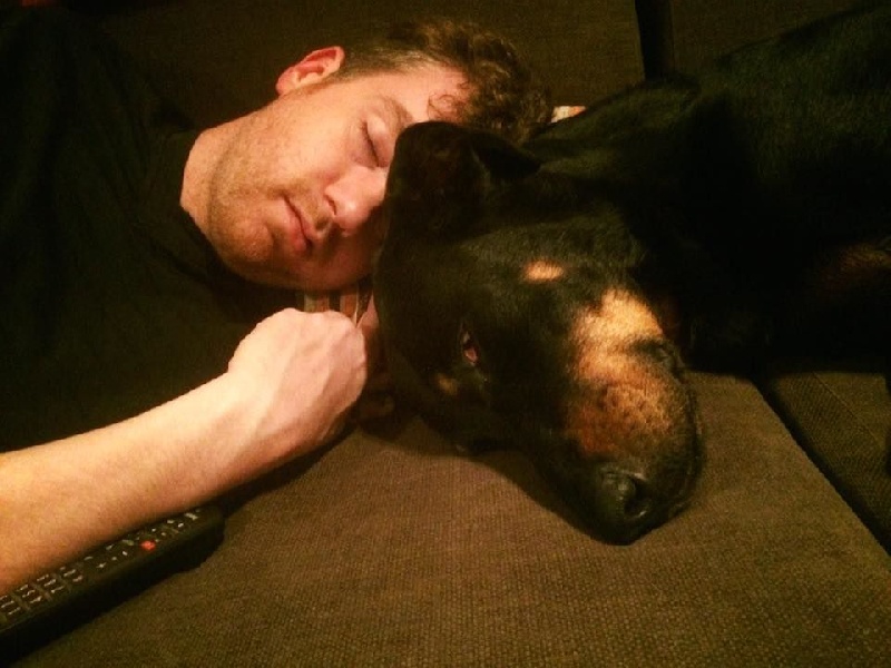 Publication : L'ami De La Campagne Auteur : l'Ami de la Campagne