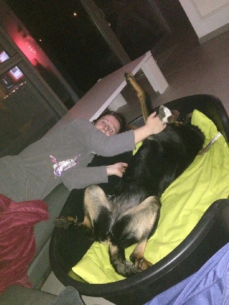 Publication : L'ami De La Campagne Auteur : l'Ami de la Campagne