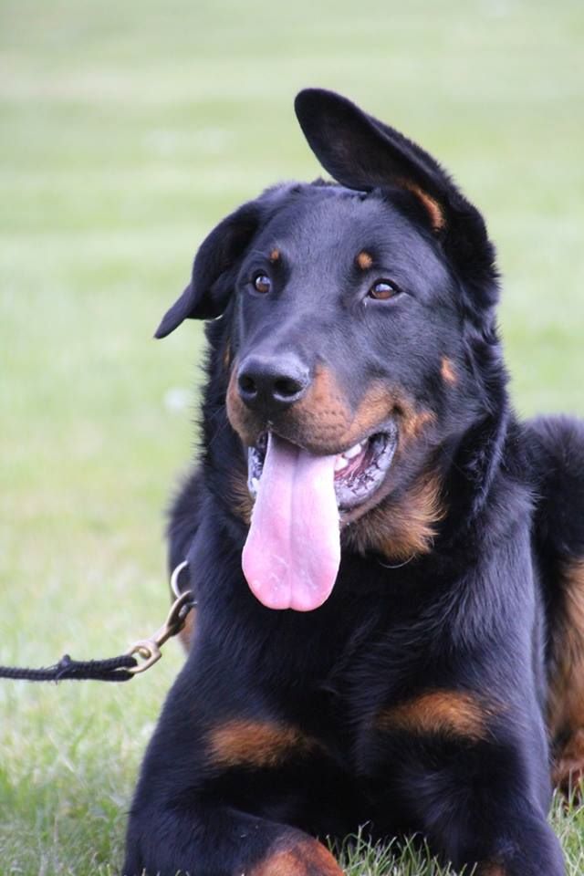 Publication : L'ami De La Campagne Auteur : ami de la campagne