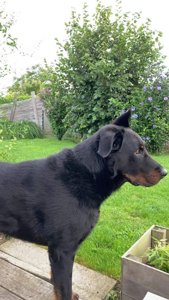 Publication : L'ami De La Campagne Auteur : ami de la campagne