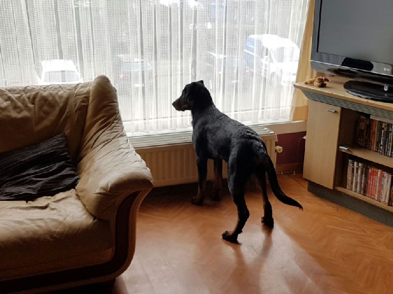 Publication : L'ami De La Campagne Auteur : ami de la campagne