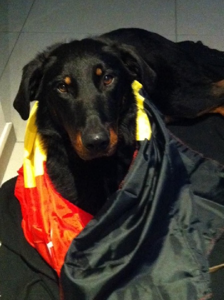 Publication : L'ami De La Campagne Auteur : l'Ami de la Campagne