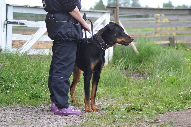 Publication : L'ami De La Campagne Auteur : ami de la campagne