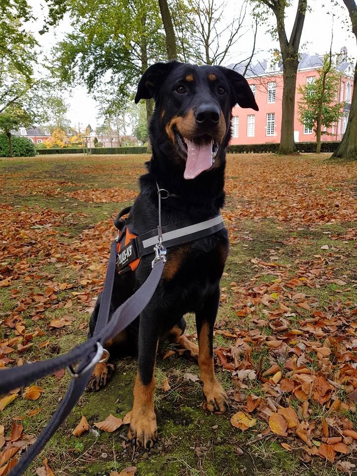 Publication : L'ami De La Campagne Auteur : l'Ami de la Campagne