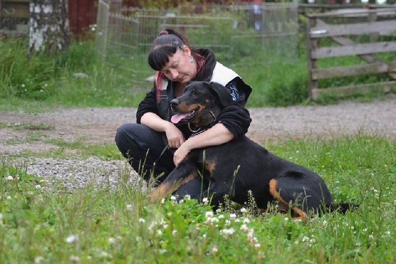 Publication : L'ami De La Campagne Auteur : ami de la campagne