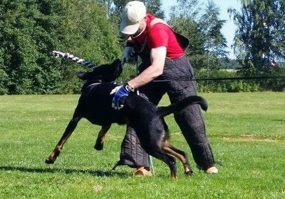 Publication : L'ami De La Campagne Auteur : ami de la campagne