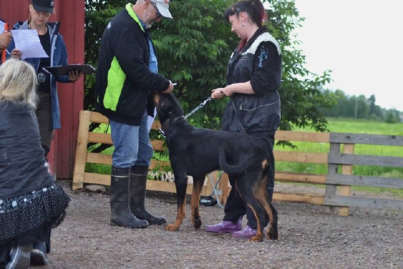 Publication : L'ami De La Campagne Auteur : ami de la campagne