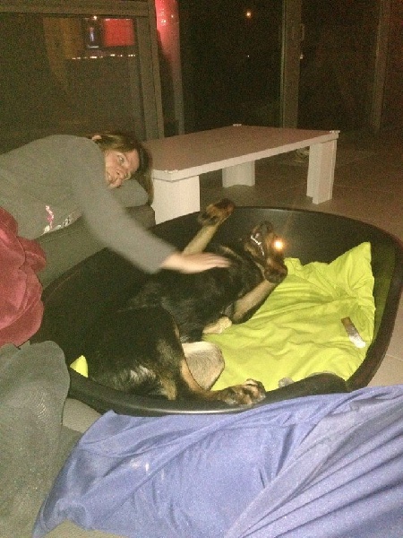 Publication : L'ami De La Campagne Auteur : l'Ami de la Campagne