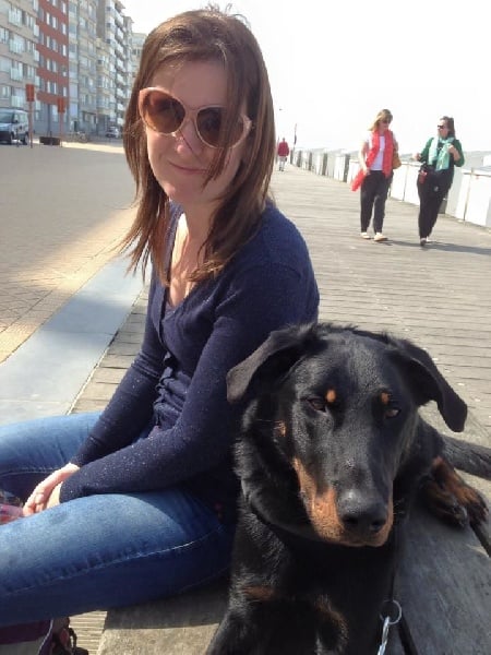 Publication : L'ami De La Campagne Auteur : l'Ami de la Campagne