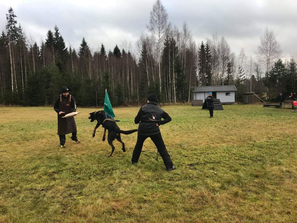 Publication : L'ami De La Campagne Auteur : ami de la campagne