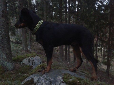 Publication : L'ami De La Campagne Auteur : ami de la campagne