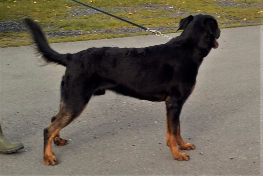 Publication : L'ami De La Campagne Auteur : ami de la campagne