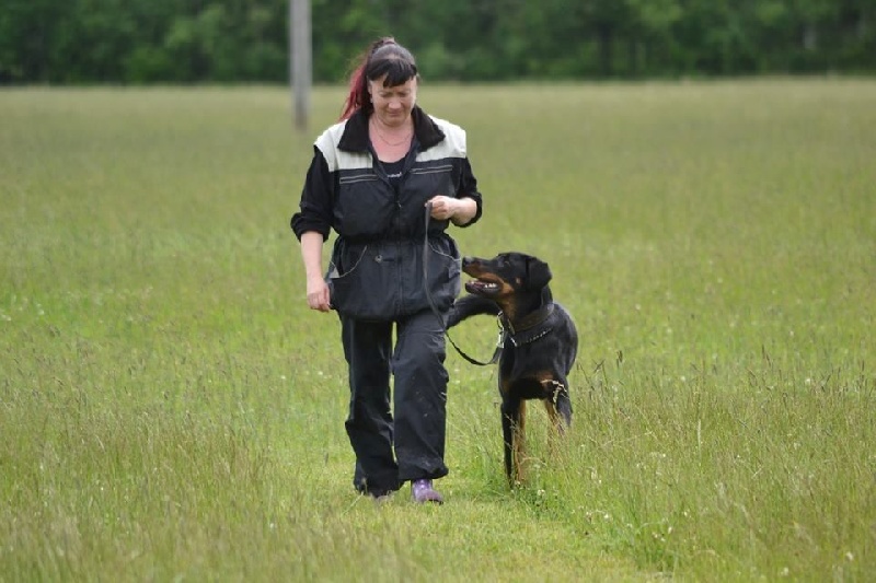 Publication : L'ami De La Campagne Auteur : ami de la campagne