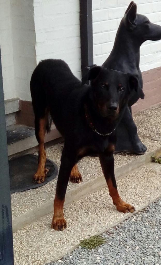 Publication : L'ami De La Campagne Auteur : ami de la campagne