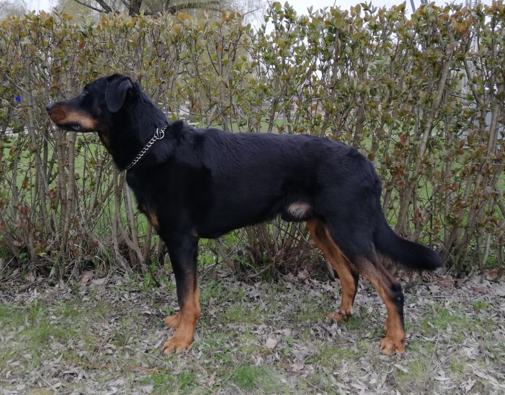 Publication : L'ami De La Campagne Auteur : ami de la campagne