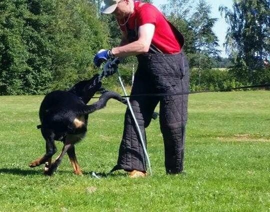 Publication : L'ami De La Campagne Auteur : ami de la campagne