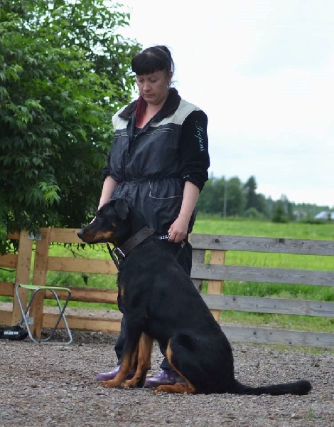 Publication : L'ami De La Campagne Auteur : ami de la campagne