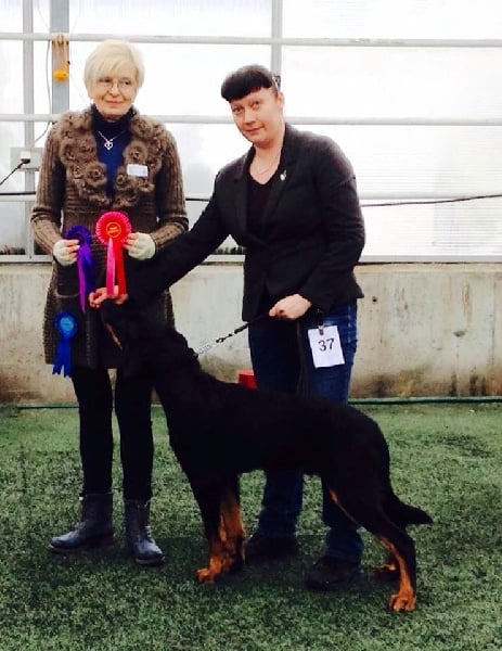 Publication : L'ami De La Campagne Auteur : ami de la campagne