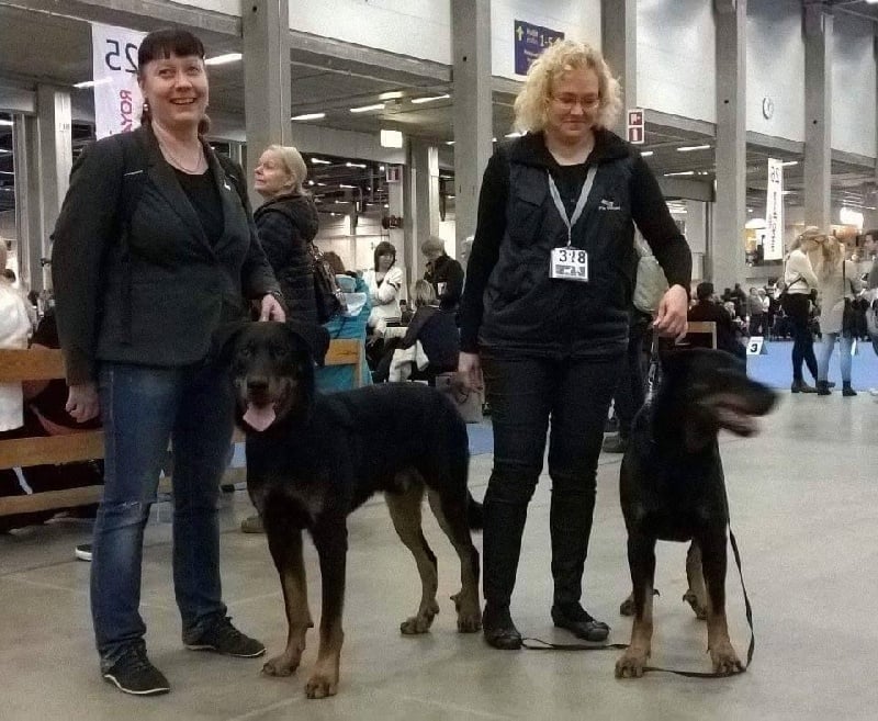 Publication : L'ami De La Campagne Auteur : ami de la campagne