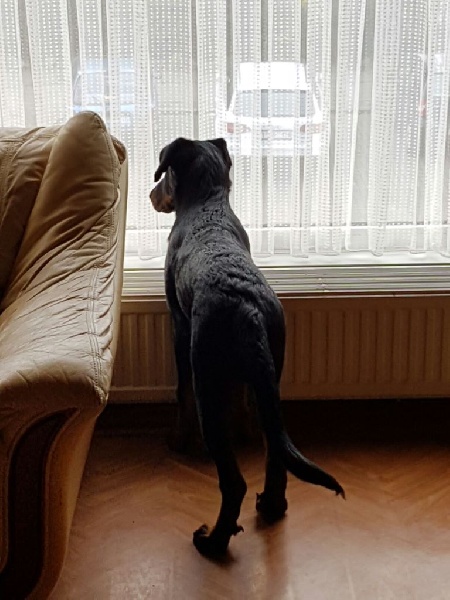 Publication : L'ami De La Campagne Auteur : ami de la campagne