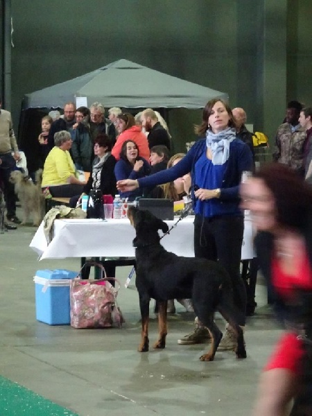 Nelle L'ami De La Campagne - 1e Exc RCAC