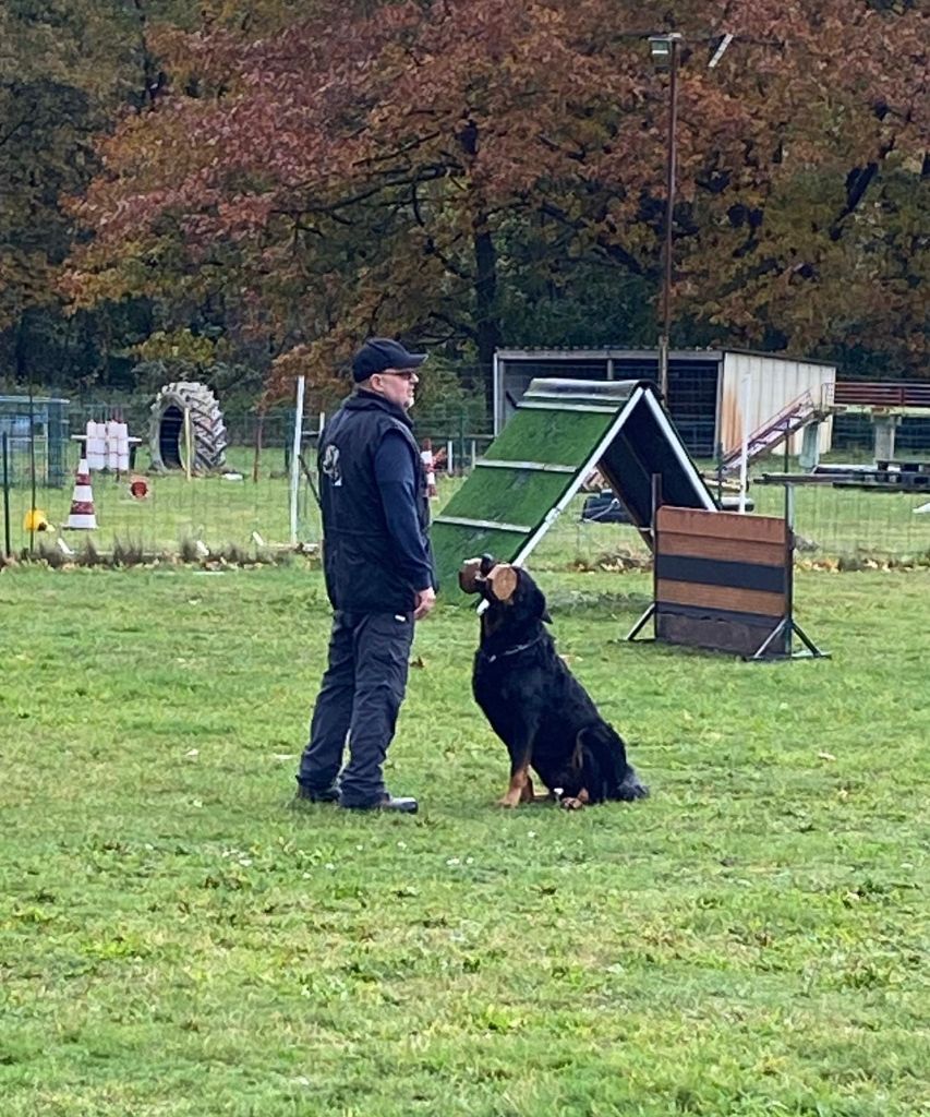 CH. Solo L'ami De La Campagne - IPO / IGP 1 accompli