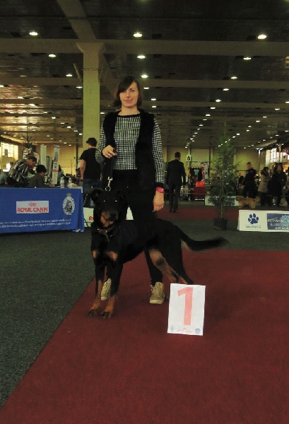 Nelle L'ami De La Campagne - 1e Exc JrCAC Meilleur jeune femelle n&f