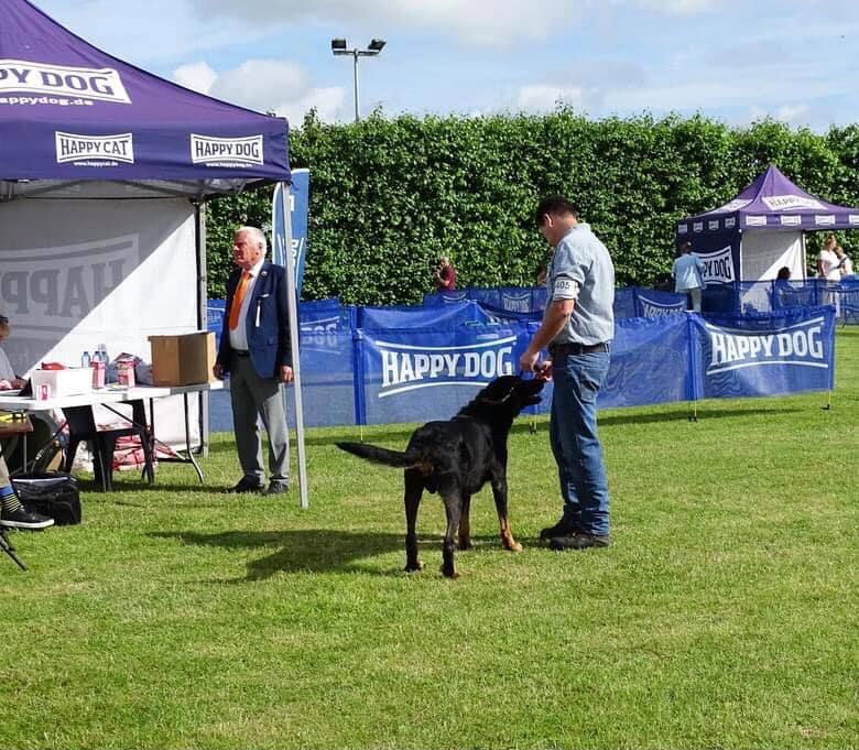 CH. Morse (monty) L'ami De La Campagne - 1e EXC RCAC meilleur veteran