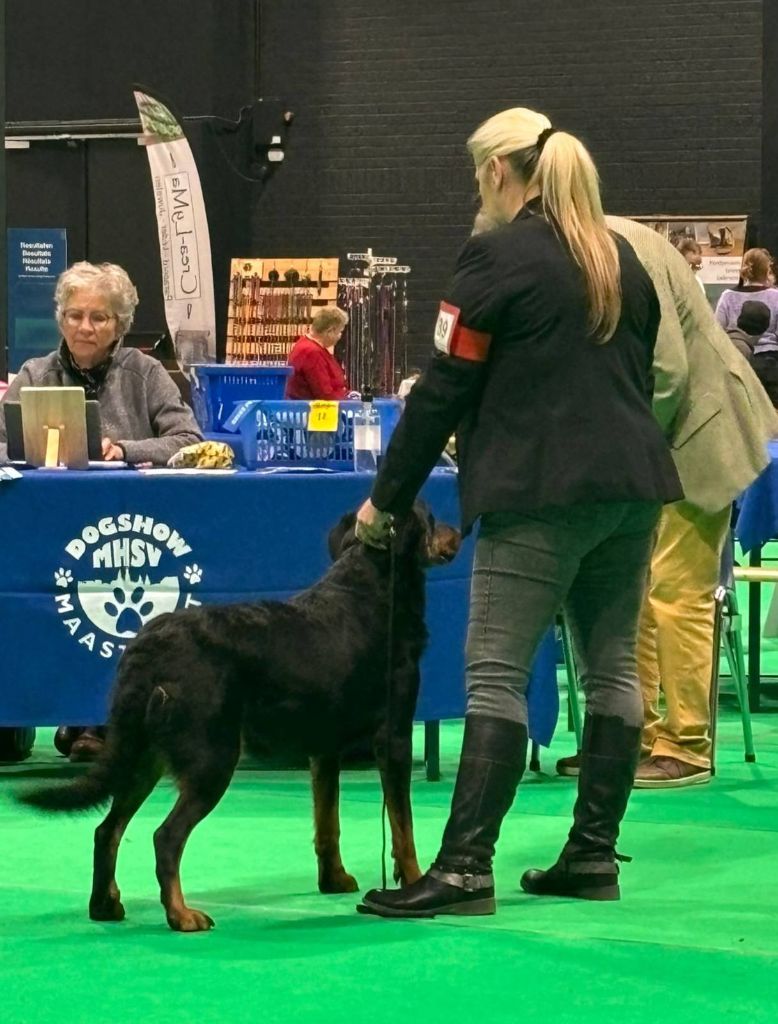 CH. Vousia L'ami De La Campagne - 1e EXC ResCAC - CACIB