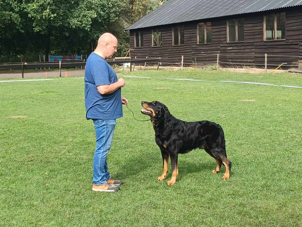 CH. Solo L'ami De La Campagne - 1 TB (lol)