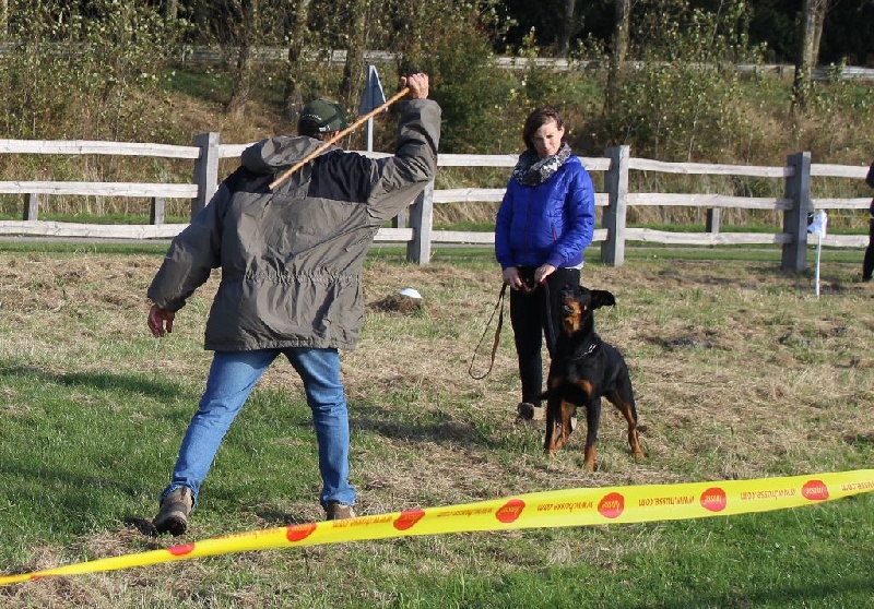 Nelle L'ami De La Campagne - Exc morpho Exc cacact 95/100 Cotation 2