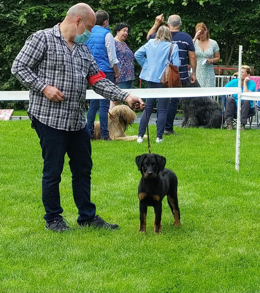 CH. Uzelle Le Bas Rouge Céleste - 1e TP (baby classe)