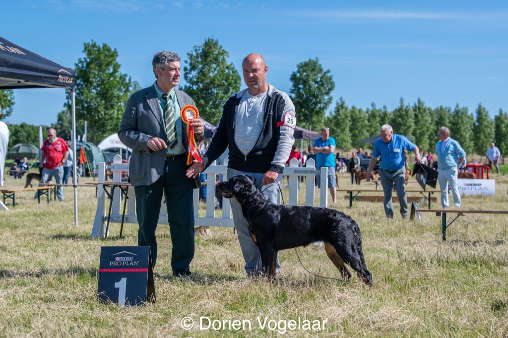CH. Uzelle Le Bas Rouge Céleste - 1e EXC meileur jeune, CAC MEILLEUR DE RACE (BOB)