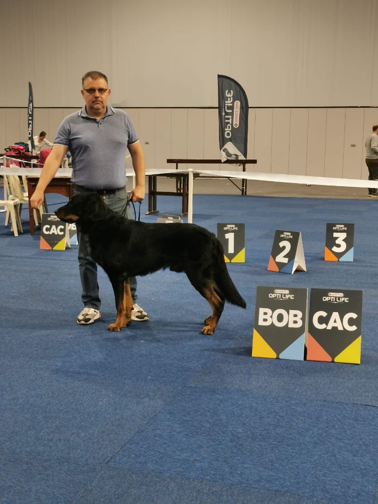 CH. Solo L'ami De La Campagne - 1e EXC CAC BOB