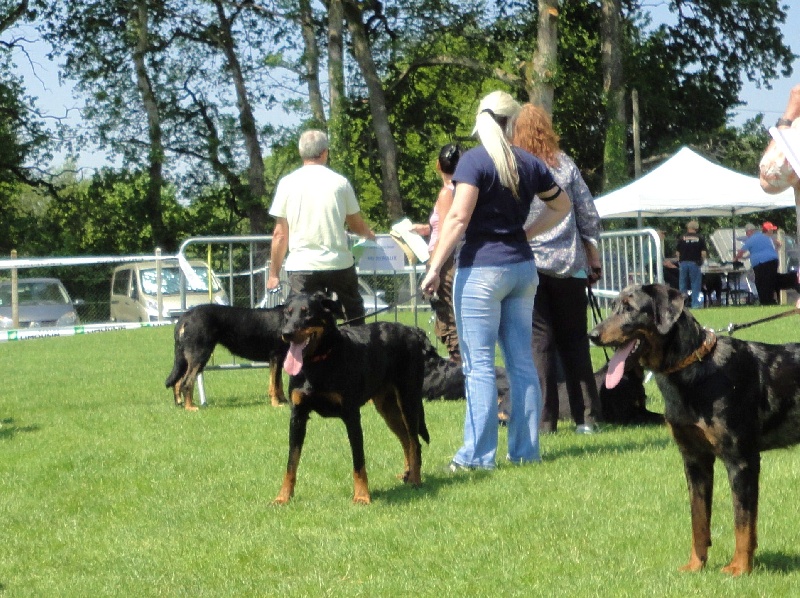 Fyotta du stuyver veld - Exc morpho (reste Cot 3)