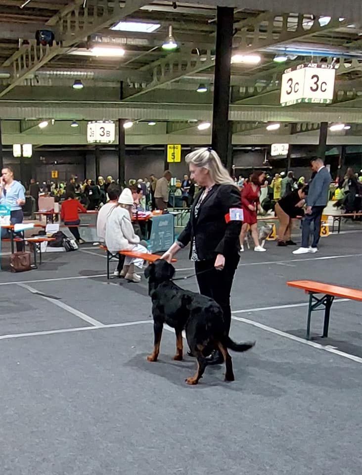 CH. Vousia L'ami De La Campagne - 2e EXC (cl jeune)