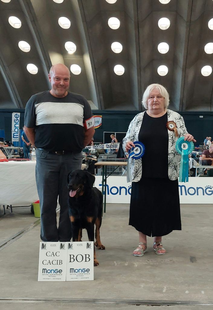 CH. Uzelle Le Bas Rouge Céleste - 1e EXC CAC CACIB BOB