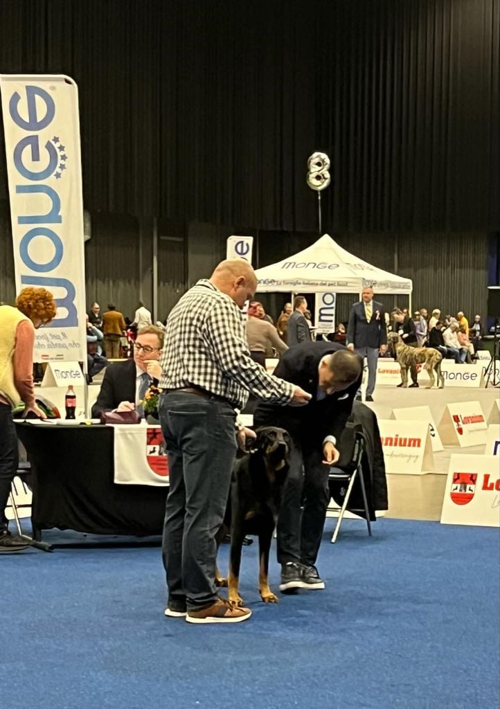 CH. Vie en rose by piaf L'ami De La Campagne - 1e EXC RCAC RCACIB