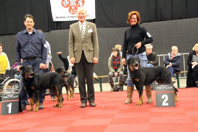 CH. Morse (monty) L'ami De La Campagne - 1e Exc CAC CACIB BOS (cl. Ch)