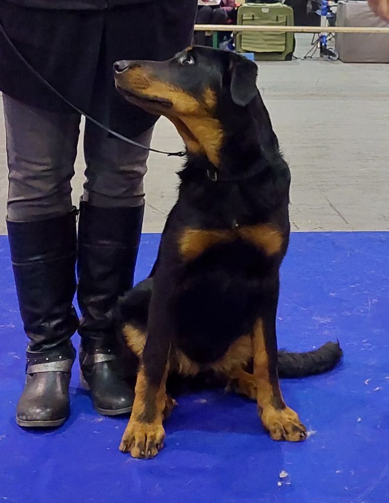 CH. Vousia L'ami De La Campagne - 2e TP