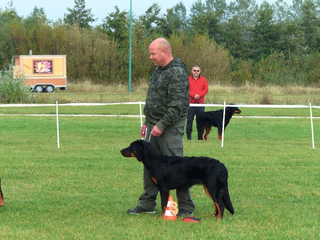 CH. Uzelle Le Bas Rouge Céleste - Morpho TP 3e place - NHAT passed "aptitudes Exc"