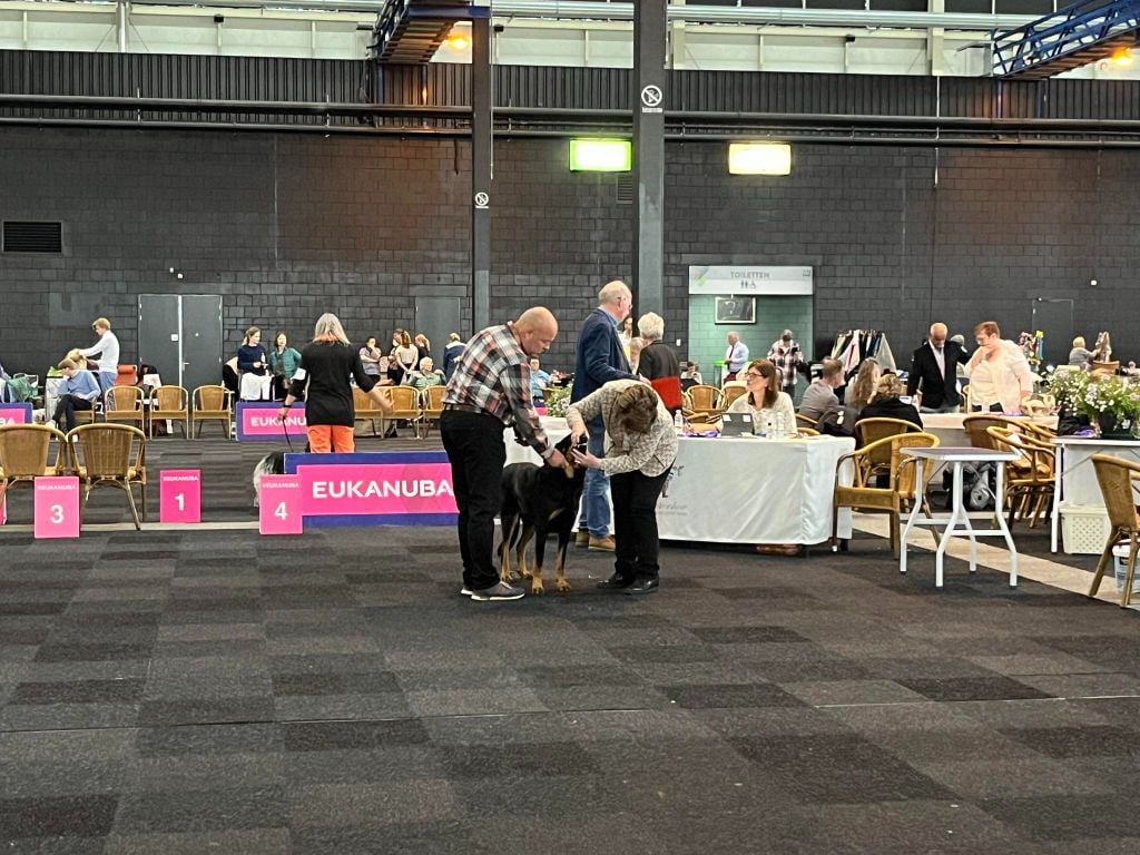 CH. Vie en rose by piaf L'ami De La Campagne - 1e EXC CAC CACIB BOS